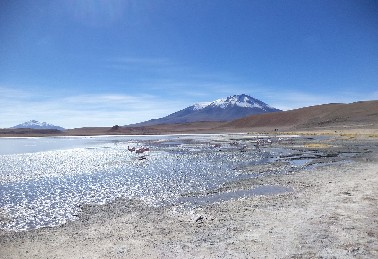 In Bolivien (und anderen Ländern) (Anden, 7.200 Kilometer)